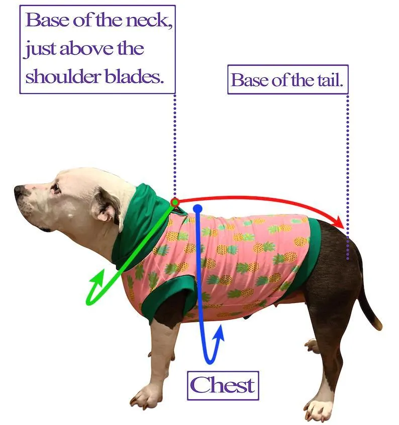 Easter Best Dog Dress With Embroidered Bunny