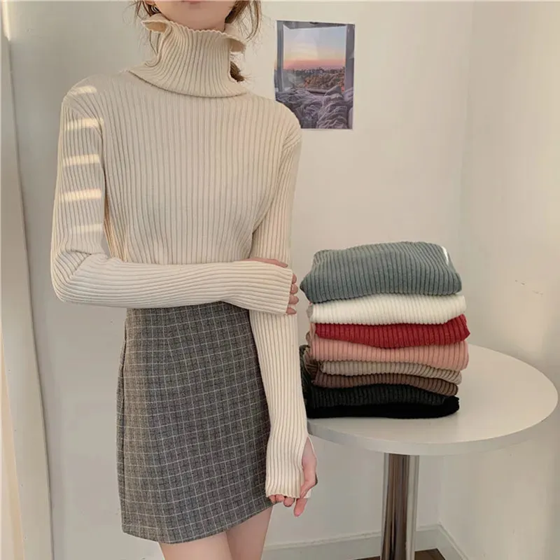 Thick Ribbed Turtleneck Sweater