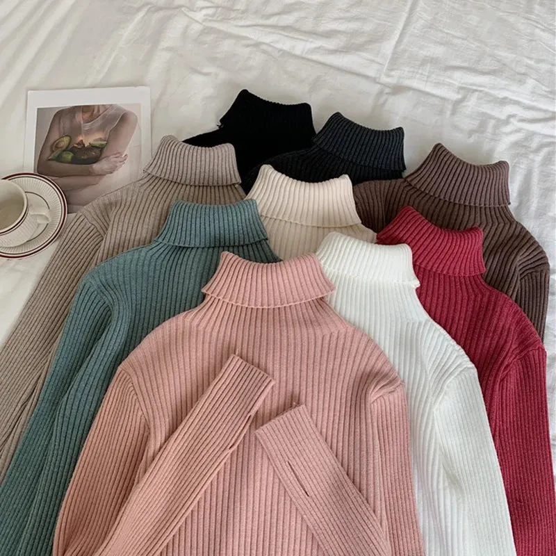 Thick Ribbed Turtleneck Sweater