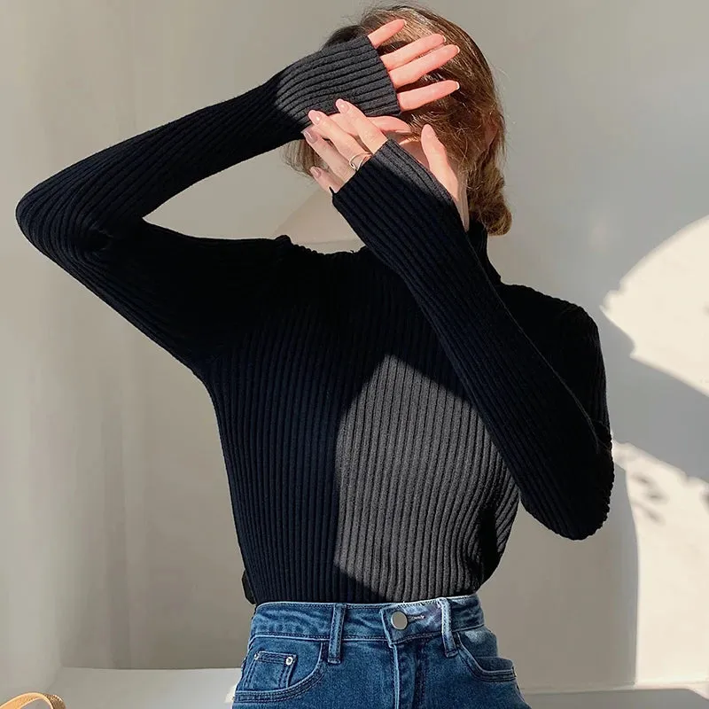 Thick Ribbed Turtleneck Sweater