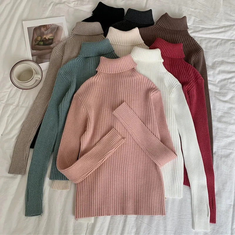 Thick Ribbed Turtleneck Sweater