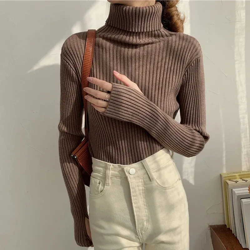 Thick Ribbed Turtleneck Sweater