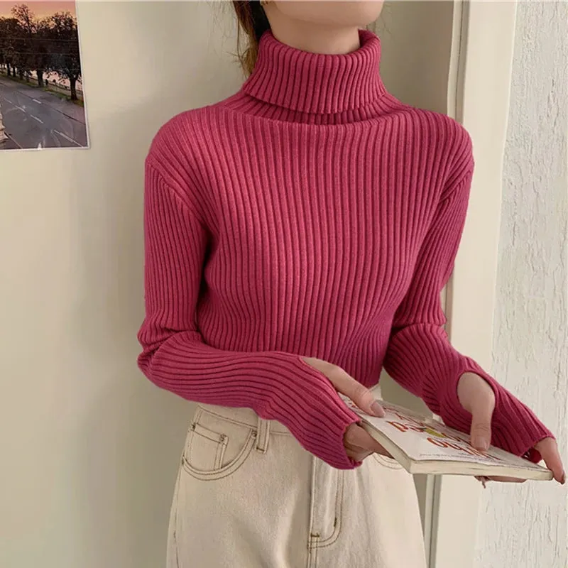 Thick Ribbed Turtleneck Sweater