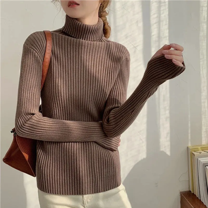 Thick Ribbed Turtleneck Sweater