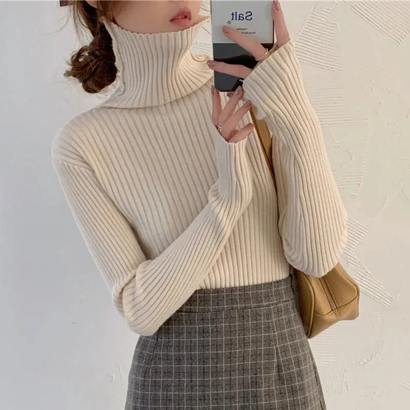 Thick Ribbed Turtleneck Sweater