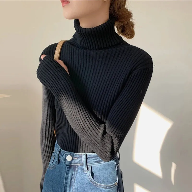 Thick Ribbed Turtleneck Sweater