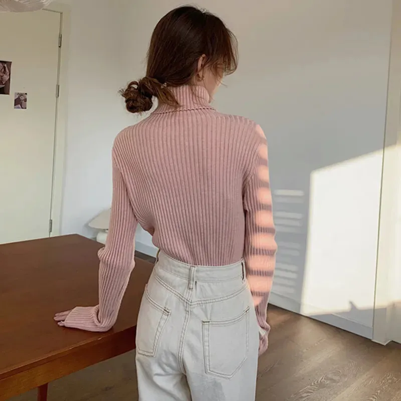 Thick Ribbed Turtleneck Sweater