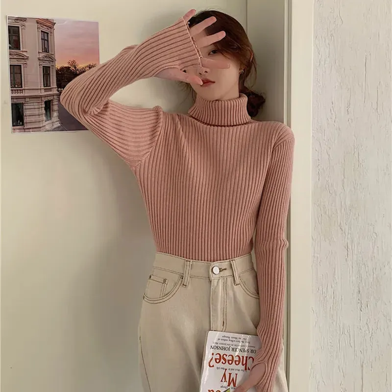 Thick Ribbed Turtleneck Sweater