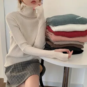 Thick Ribbed Turtleneck Sweater