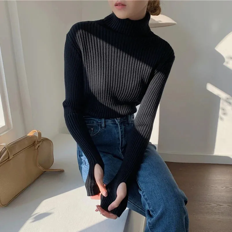 Thick Ribbed Turtleneck Sweater