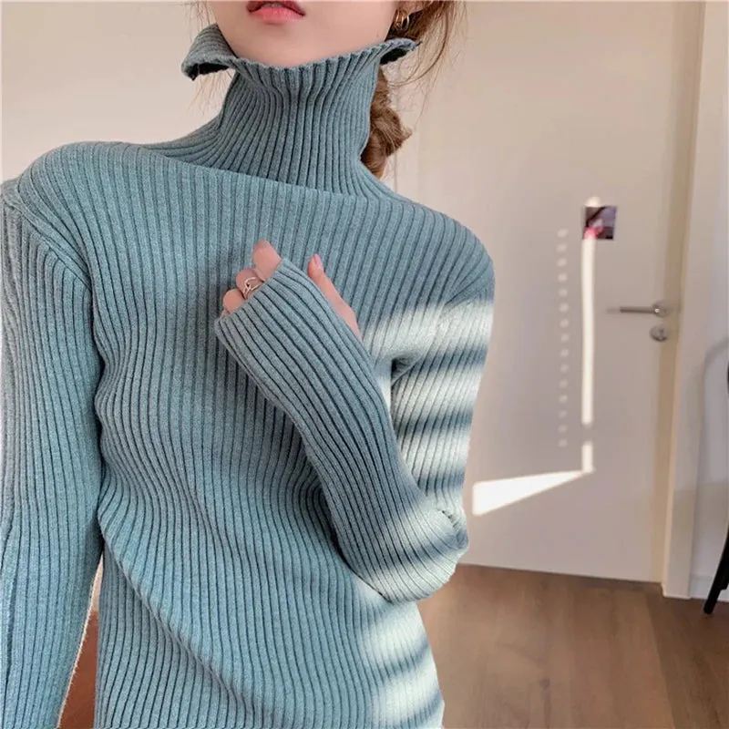 Thick Ribbed Turtleneck Sweater