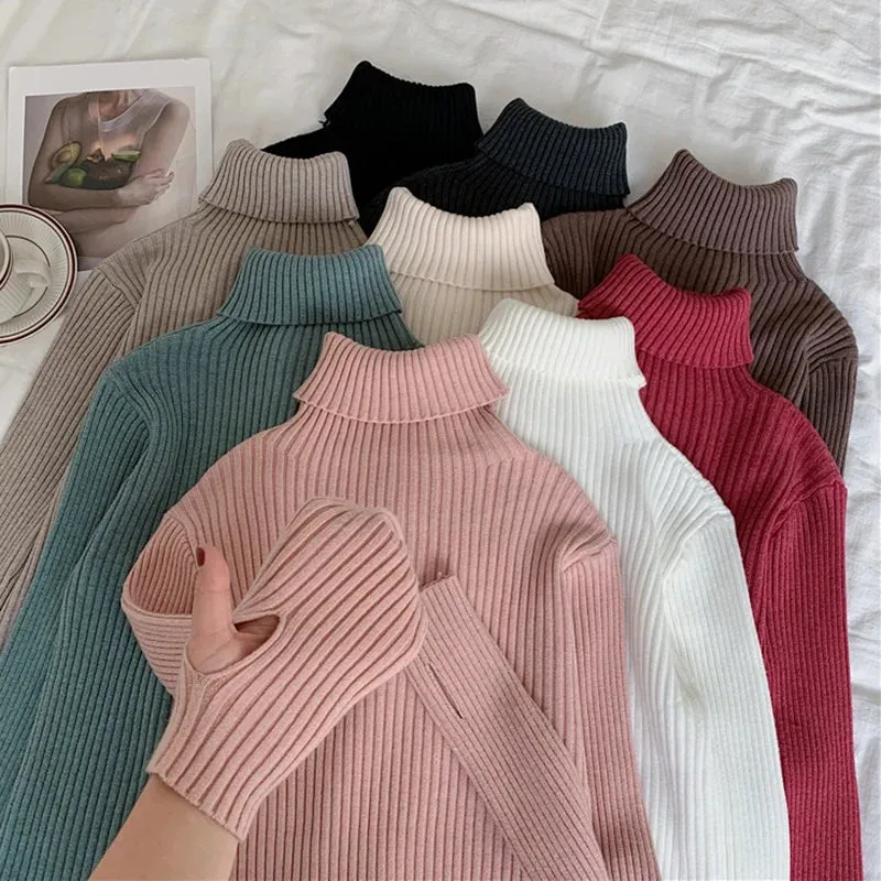 Thick Ribbed Turtleneck Sweater