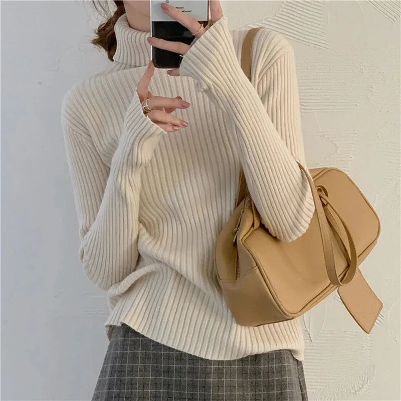 Thick Ribbed Turtleneck Sweater