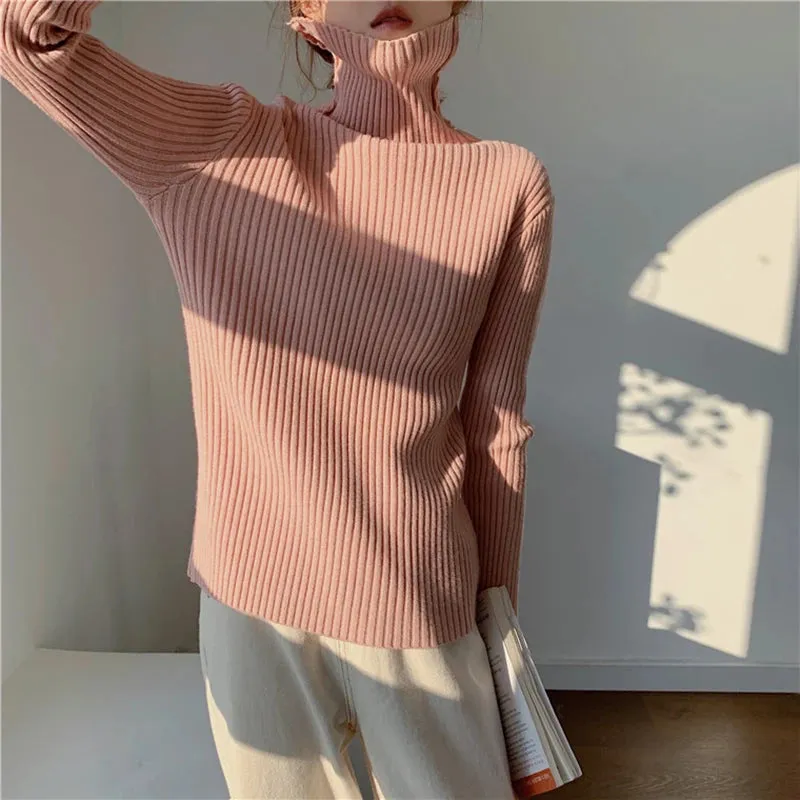 Thick Ribbed Turtleneck Sweater
