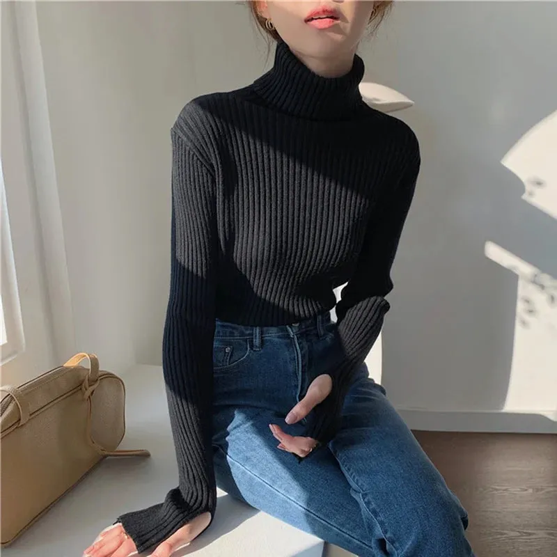Thick Ribbed Turtleneck Sweater
