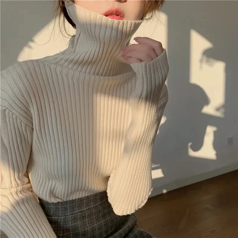 Thick Ribbed Turtleneck Sweater