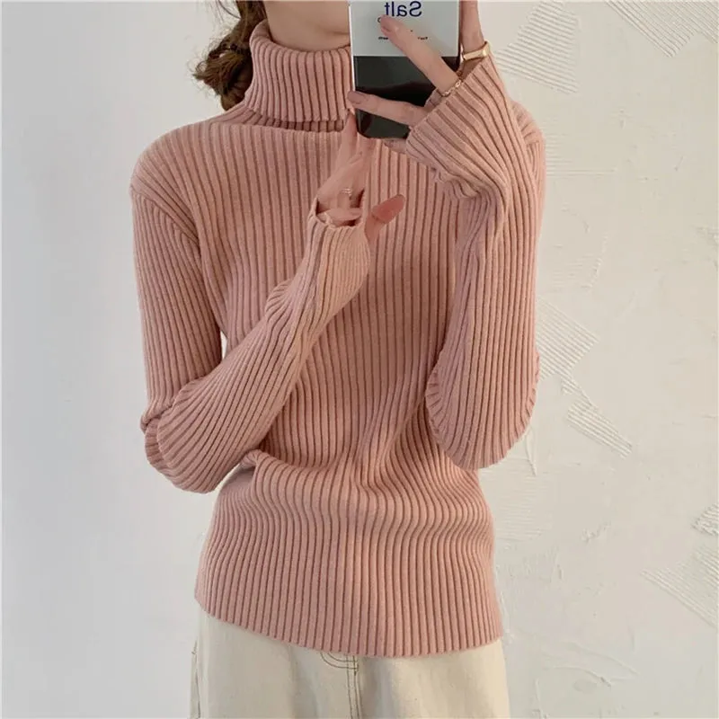 Thick Ribbed Turtleneck Sweater