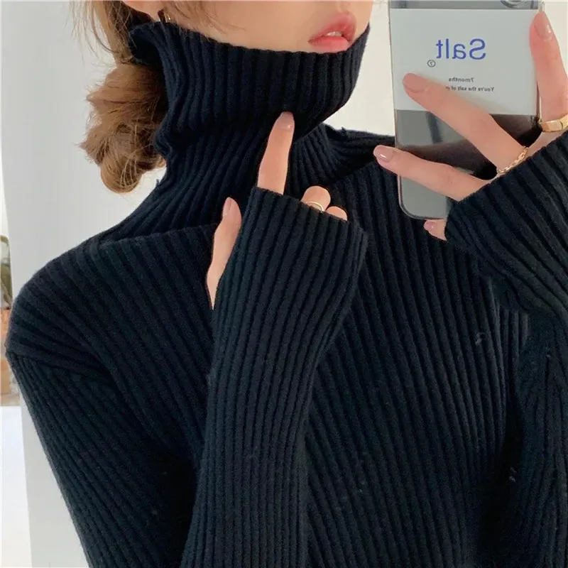 Thick Ribbed Turtleneck Sweater