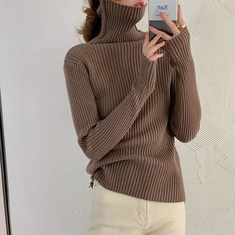 Thick Ribbed Turtleneck Sweater