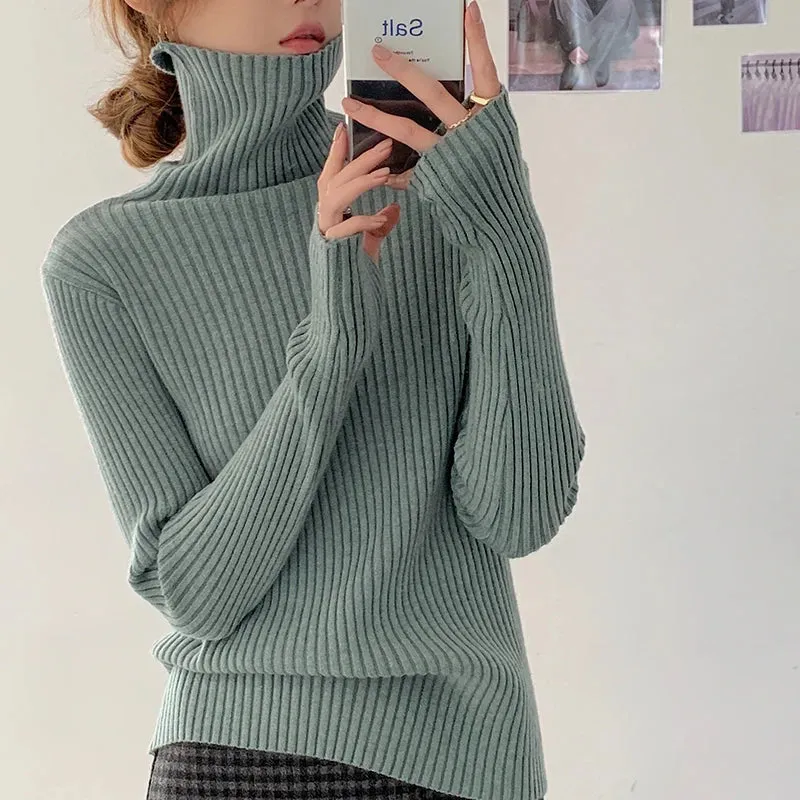 Thick Ribbed Turtleneck Sweater