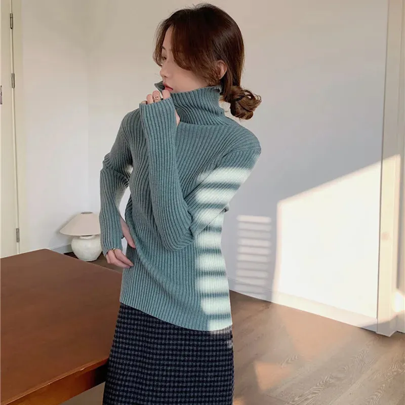 Thick Ribbed Turtleneck Sweater